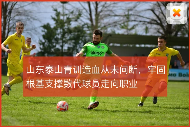 山东泰山青训造血从未间断,牢固根基支撑数代球员走向职业